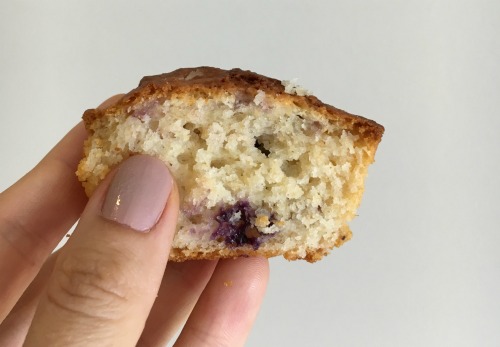 Magic Wholemeal Muffin Blueberry half