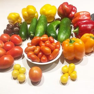 vegetable garden haul