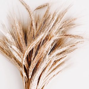 wheat allergy